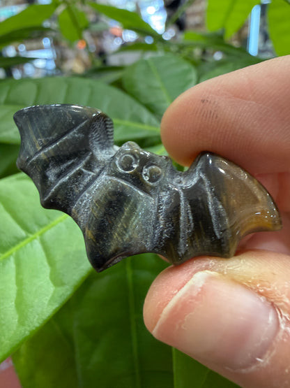 Bats- Small Polished Flat