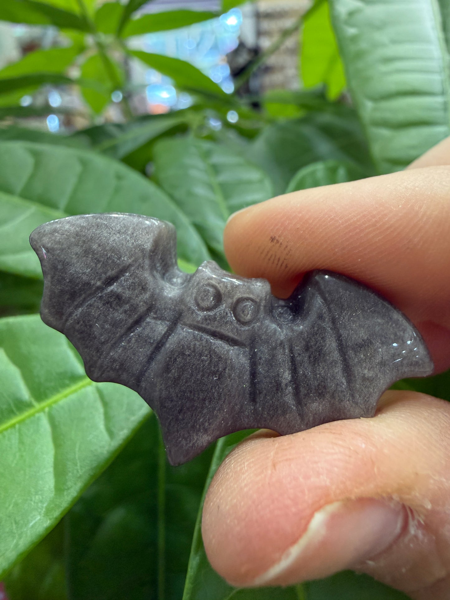 Bats- Small Polished Flat