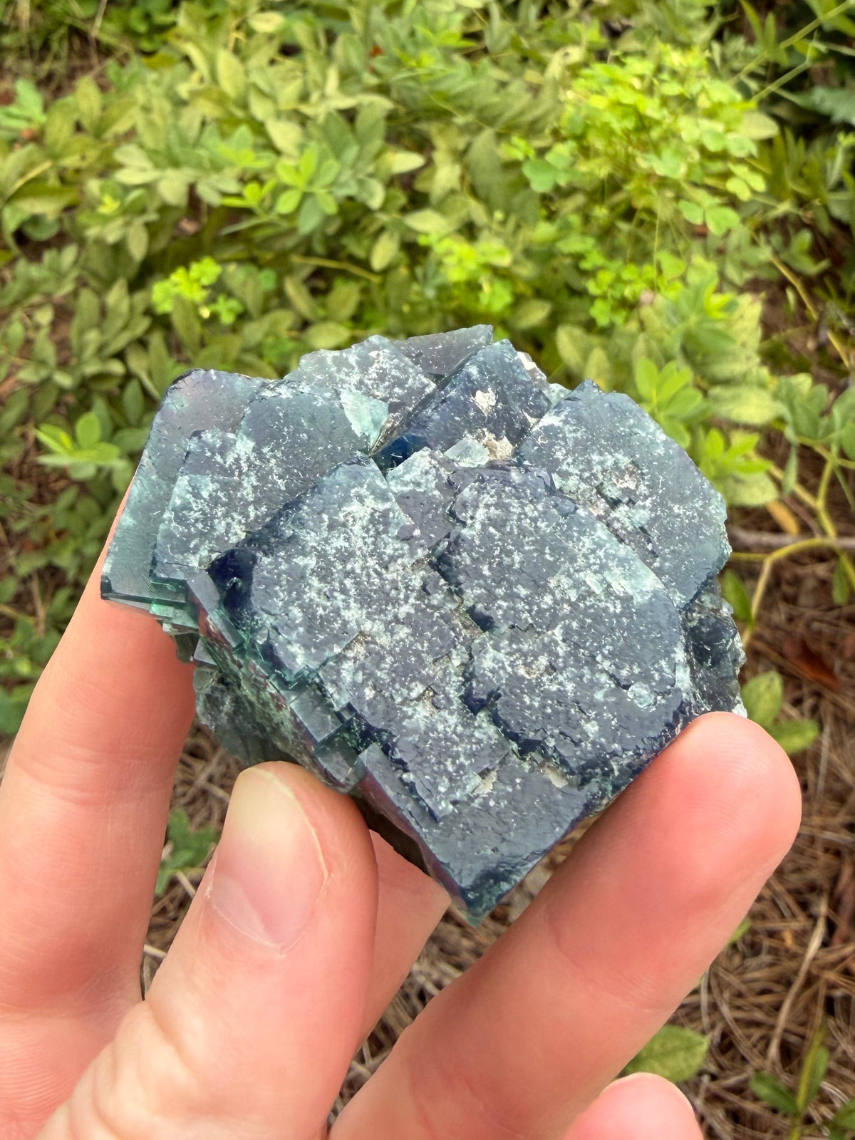 Fluorite - Northern Lights Pocket, Diana Maria Mine, Frosterley, Weardale, Co. Durham, England