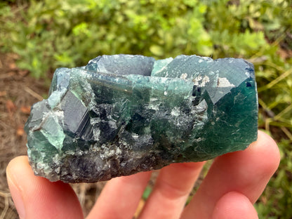 Fluorite - Northern Lights Pocket, Diana Maria Mine, Frosterley, Weardale, Co. Durham, England