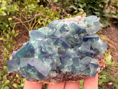 Fluorite - Naughty Gnome Pocket, Diana Maria Mine, Frosterley, Weardale, Co. Durham, England