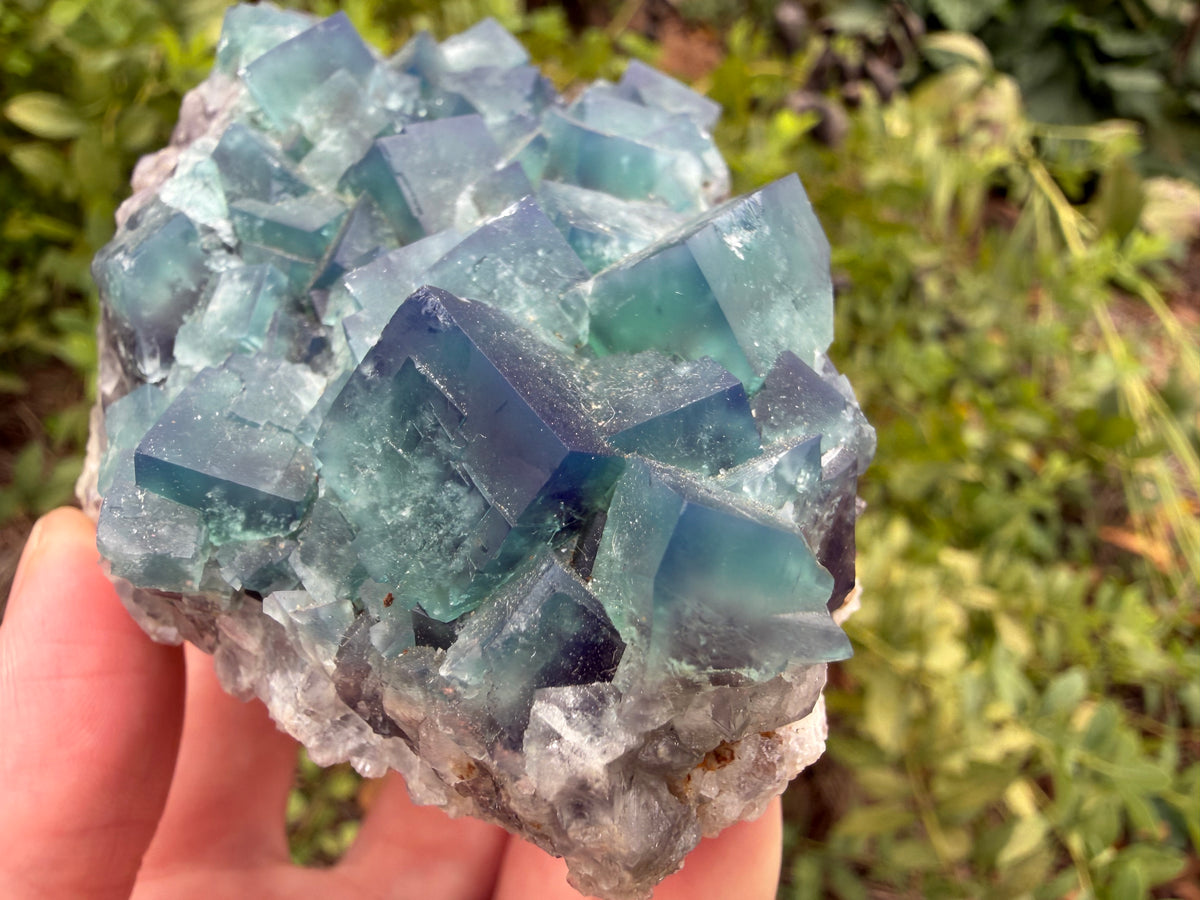 Fluorite - Naughty Gnome Pocket, Diana Maria Mine, Frosterley, Weardale, Co. Durham, England