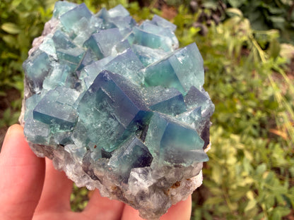 Fluorite - Naughty Gnome Pocket, Diana Maria Mine, Frosterley, Weardale, Co. Durham, England