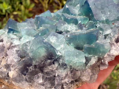 Fluorite - Naughty Gnome Pocket, Diana Maria Mine, Frosterley, Weardale, Co. Durham, England