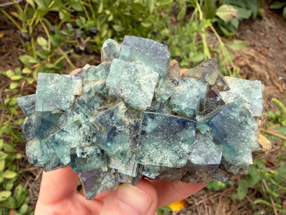 Fluorite - Naughty Gnome Pocket, Diana Maria Mine, Frosterley, Weardale, Co. Durham, England