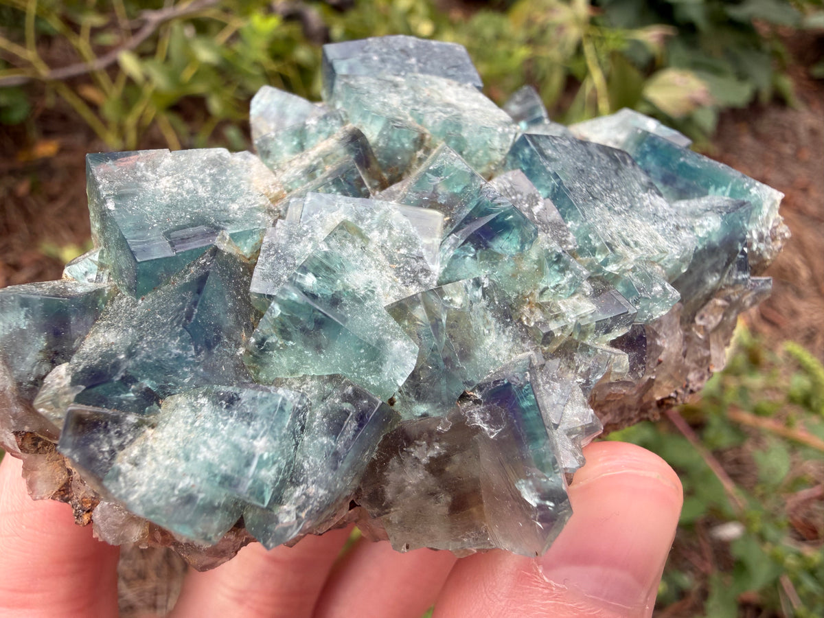 Fluorite - Naughty Gnome Pocket, Diana Maria Mine, Frosterley, Weardale, Co. Durham, England