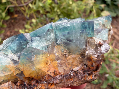 Fluorite - Naughty Gnome Pocket, Diana Maria Mine, Frosterley, Weardale, Co. Durham, England