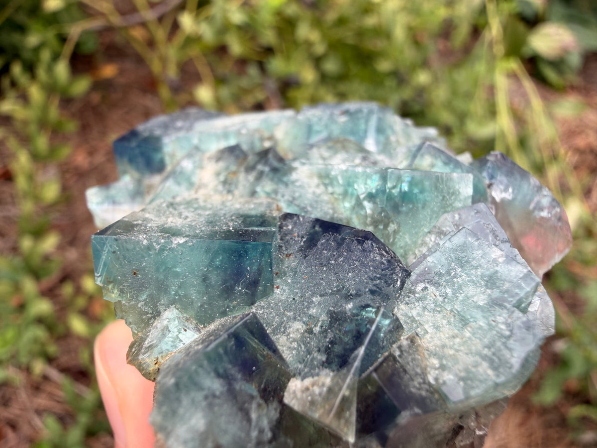 Fluorite - Naughty Gnome Pocket, Diana Maria Mine, Frosterley, Weardale, Co. Durham, England
