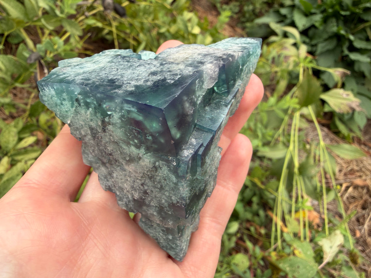 Fluorite - Truffle Pig Pocket, Diana Maria Mine, Frosterley, Weardale, Co. Durham, England