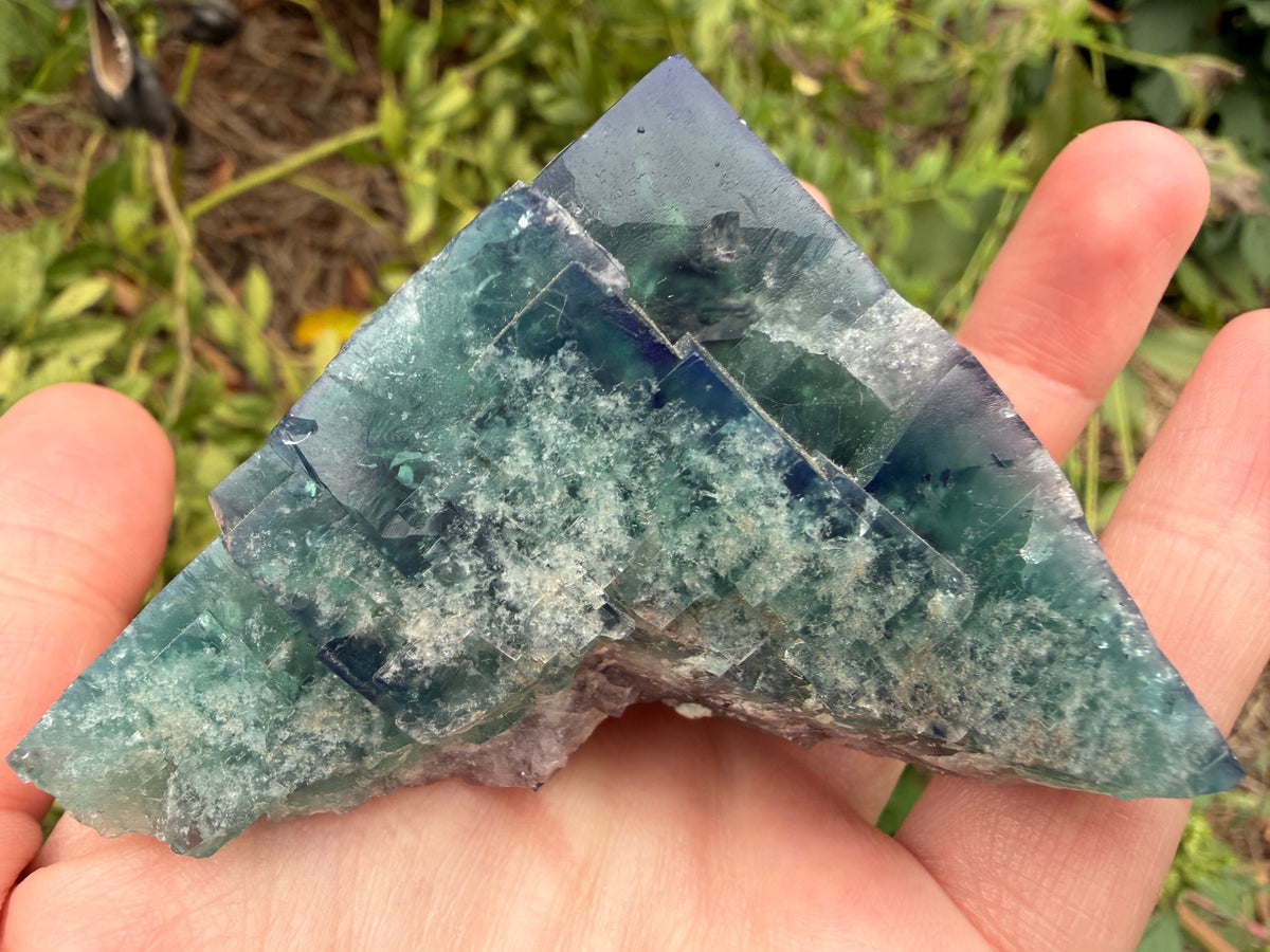 Fluorite - Truffle Pig Pocket, Diana Maria Mine, Frosterley, Weardale, Co. Durham, England