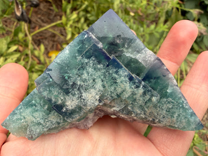 Fluorite - Truffle Pig Pocket, Diana Maria Mine, Frosterley, Weardale, Co. Durham, England