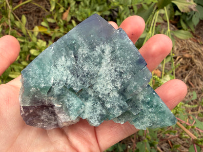Fluorite - Truffle Pig Pocket, Diana Maria Mine, Frosterley, Weardale, Co. Durham, England