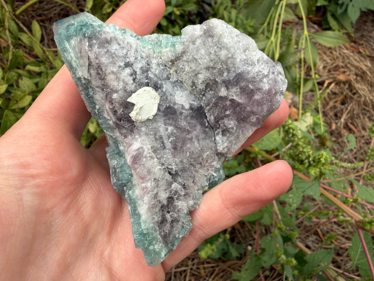 Fluorite - Truffle Pig Pocket, Diana Maria Mine, Frosterley, Weardale, Co. Durham, England