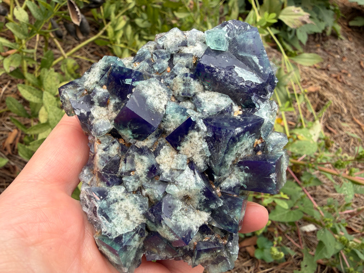 Fluorite - Supernova Pocket, Diana Maria Mine, Frosterley, Weardale, Co. Durham, England