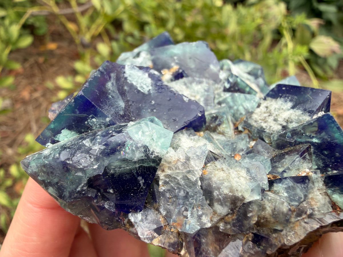 Fluorite - Supernova Pocket, Diana Maria Mine, Frosterley, Weardale, Co. Durham, England