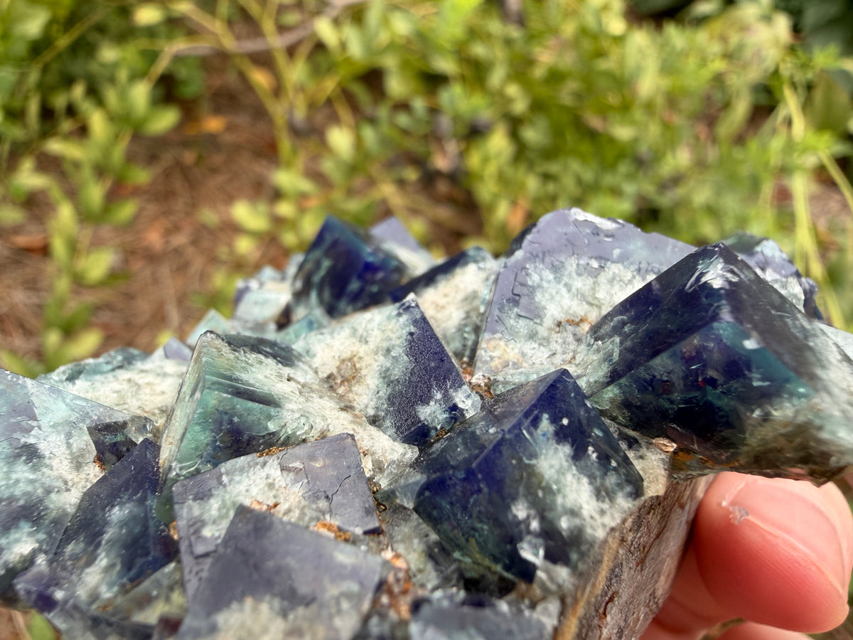 Fluorite - Supernova Pocket, Diana Maria Mine, Frosterley, Weardale, Co. Durham, England