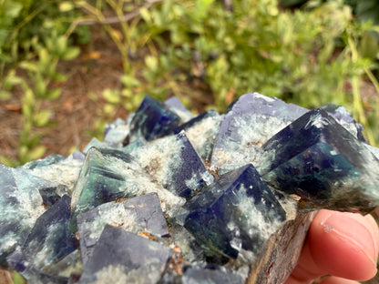 Fluorite - Supernova Pocket, Diana Maria Mine, Frosterley, Weardale, Co. Durham, England