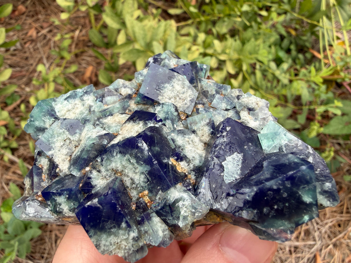 Fluorite - Supernova Pocket, Diana Maria Mine, Frosterley, Weardale, Co. Durham, England