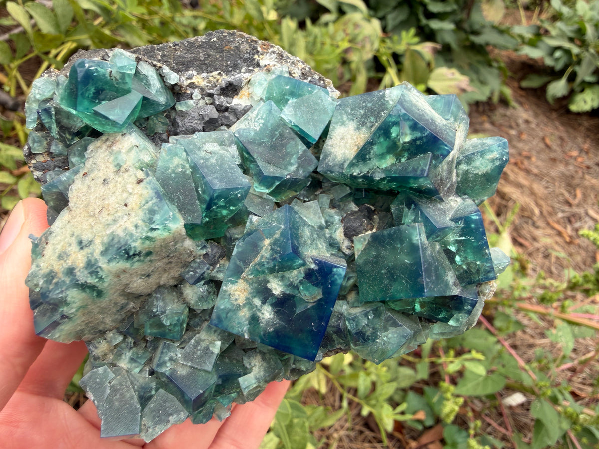 Fluorite - Diana Maria Mine, Frosterley, Weardale, Co. Durham, England