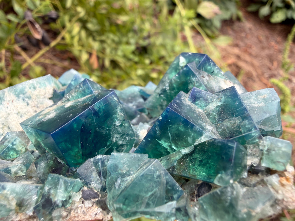 Fluorite - Diana Maria Mine, Frosterley, Weardale, Co. Durham, England