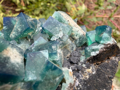Fluorite - Diana Maria Mine, Frosterley, Weardale, Co. Durham, England