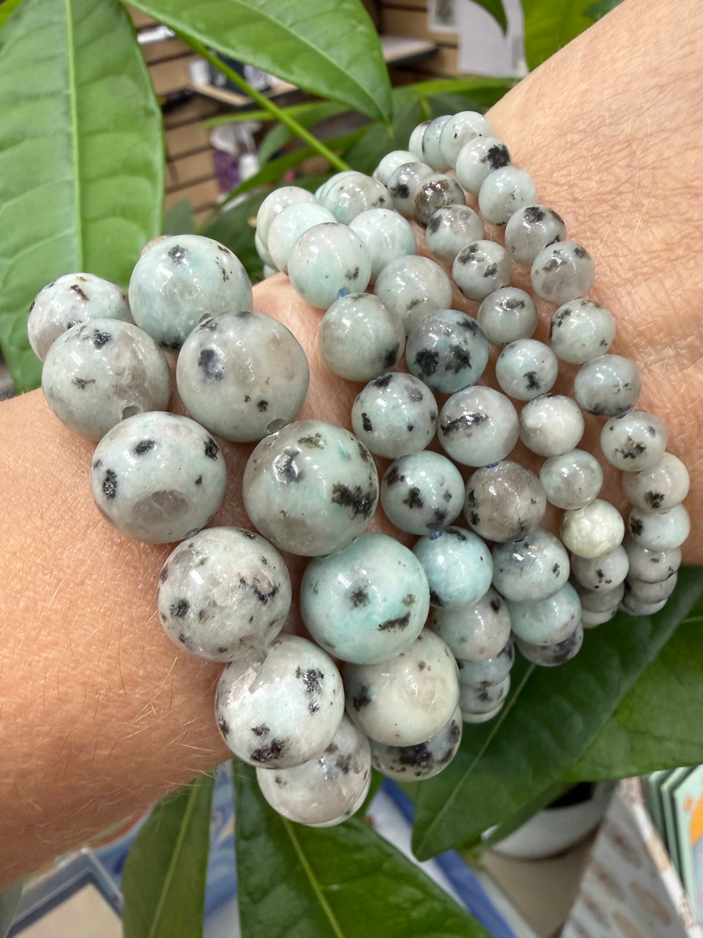 Kiwi Jasper Stretch Bracelet- Round Smooth 7.5 inches