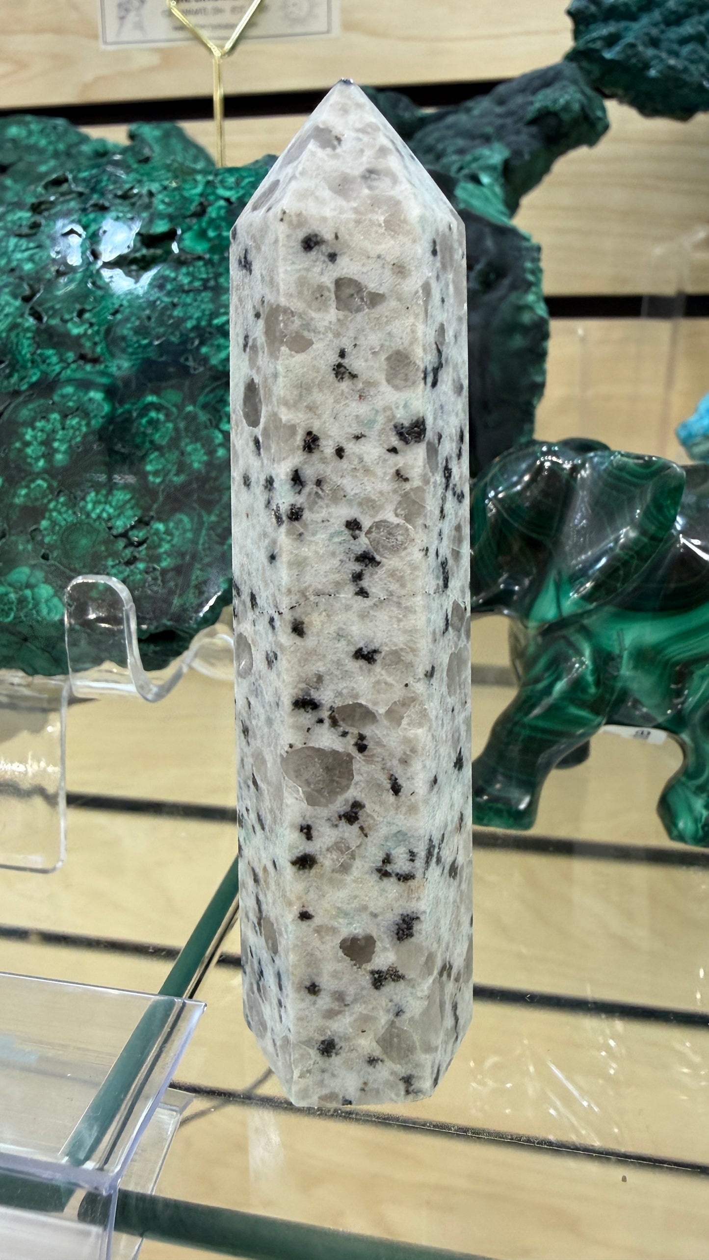 Kiwi Jasper Point- 3-4 inches