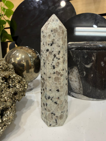 Kiwi Jasper Point- 3-4 inches