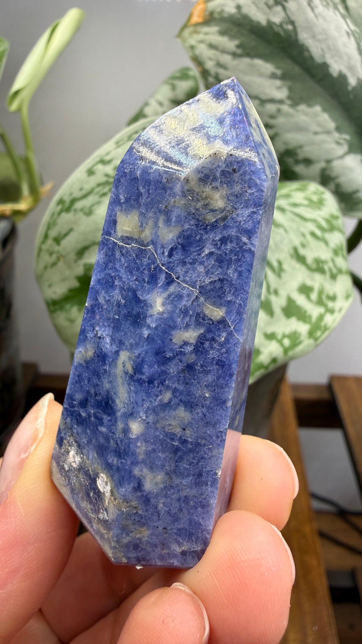 Sodalite Tower/Point- 2.4 inch