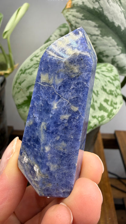 Sodalite Tower/Point- 2.4 inch