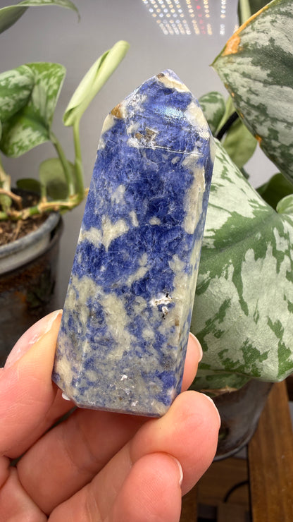 Sodalite Tower/Point- 2.4 inch