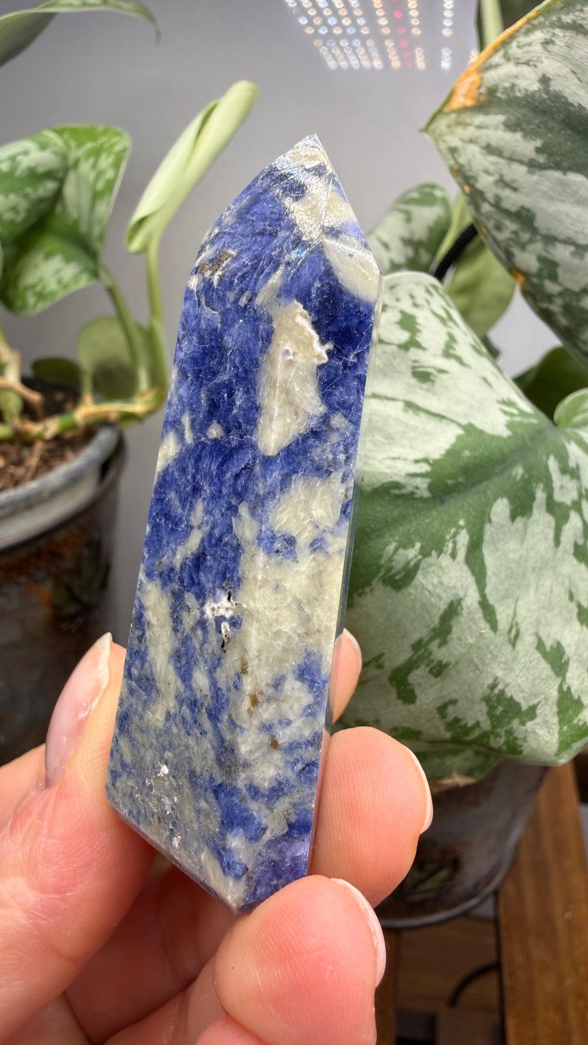 Sodalite Tower/Point- 2.4 inch