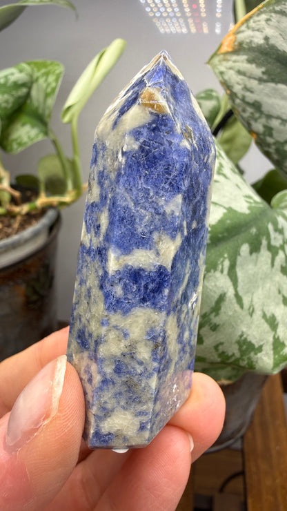 Sodalite Tower/Point- 2.4 inch