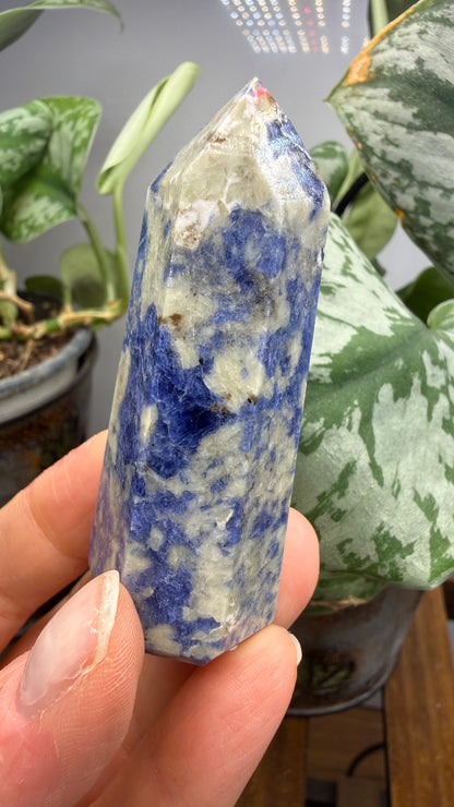 Sodalite Tower/Point- 2.4 inch