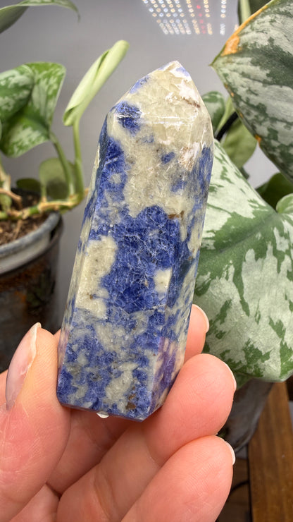 Sodalite Tower/Point- 2.4 inch