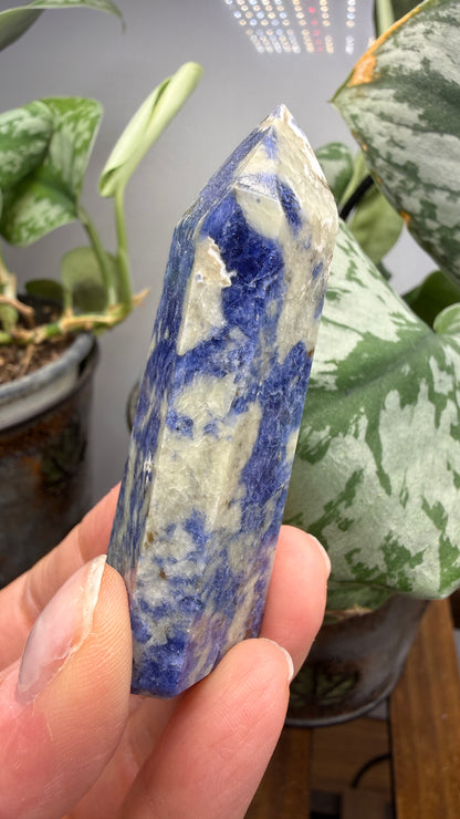 Sodalite Tower/Point- 2.4 inch