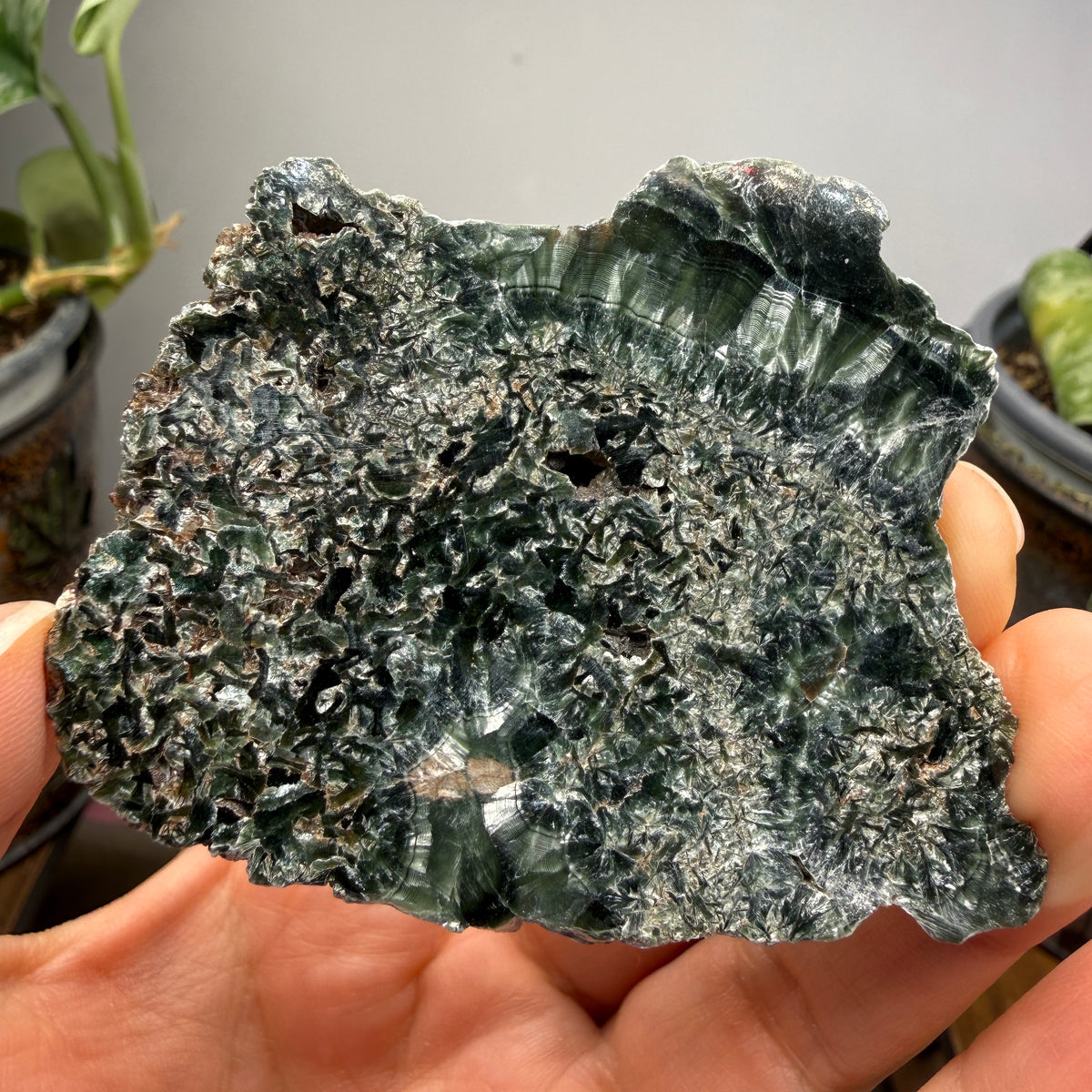 Seraphinite- Zheleznogorsk-Ilimsky, Irkutsk Oblast, Eastern Siberia, Russia