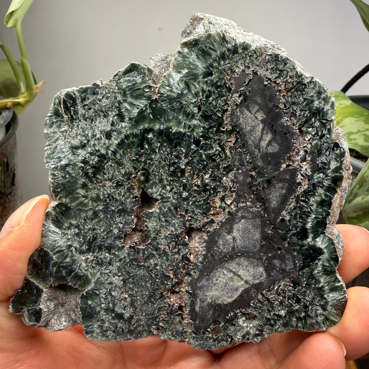 Seraphinite- Zheleznogorsk-Ilimsky, Irkutsk Oblast, Eastern Siberia, Russia