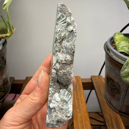 Seraphinite- Zheleznogorsk-Ilimsky, Irkutsk Oblast, Eastern Siberia, Russia