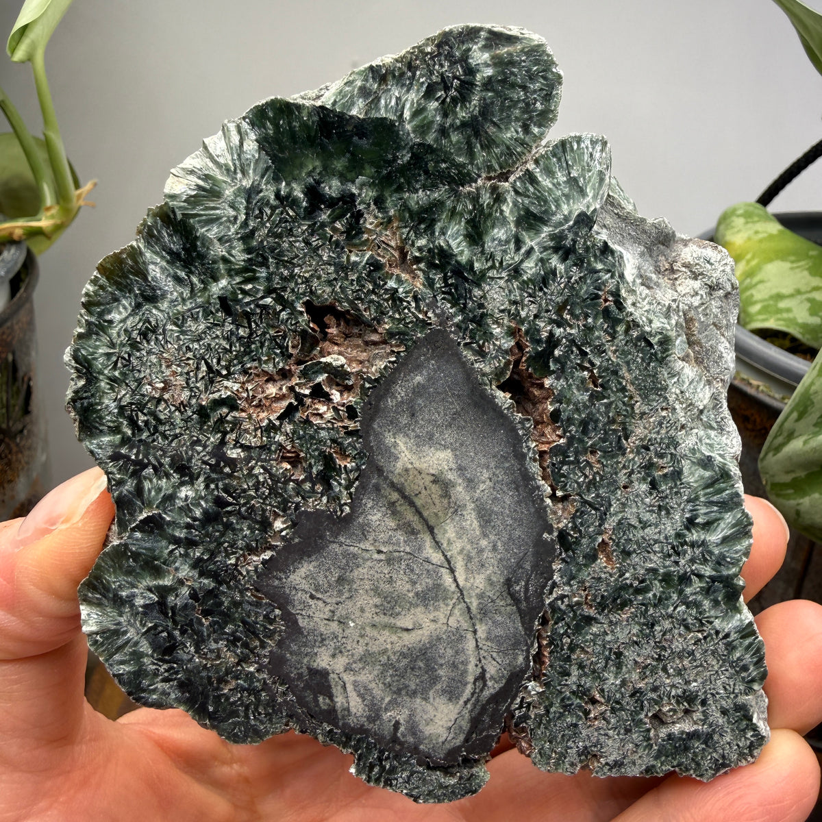 Seraphinite- Zheleznogorsk-Ilimsky, Irkutsk Oblast, Eastern Siberia, Russia