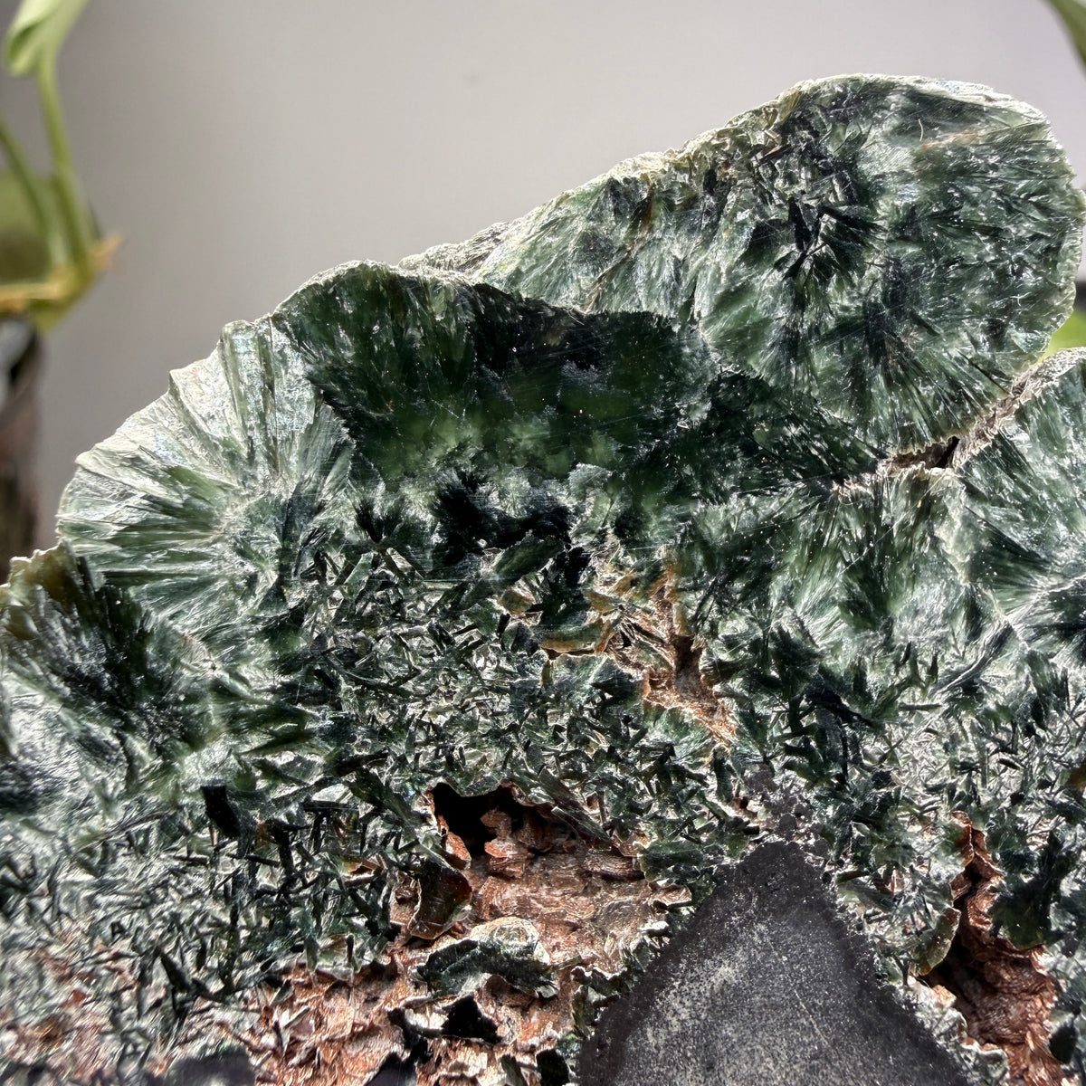 Seraphinite- Zheleznogorsk-Ilimsky, Irkutsk Oblast, Eastern Siberia, Russia