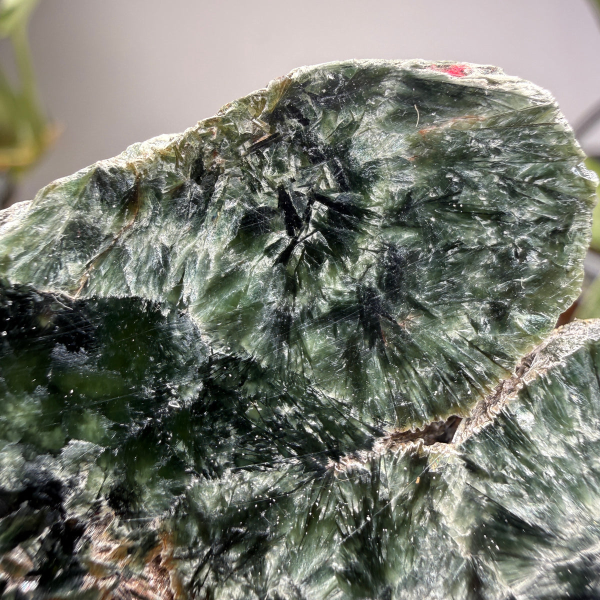 Seraphinite- Zheleznogorsk-Ilimsky, Irkutsk Oblast, Eastern Siberia, Russia
