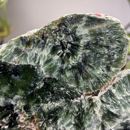 Seraphinite- Zheleznogorsk-Ilimsky, Irkutsk Oblast, Eastern Siberia, Russia
