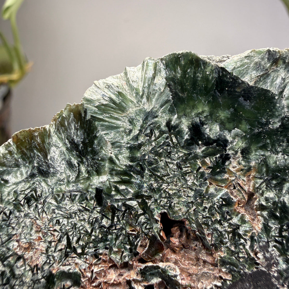 Seraphinite- Zheleznogorsk-Ilimsky, Irkutsk Oblast, Eastern Siberia, Russia