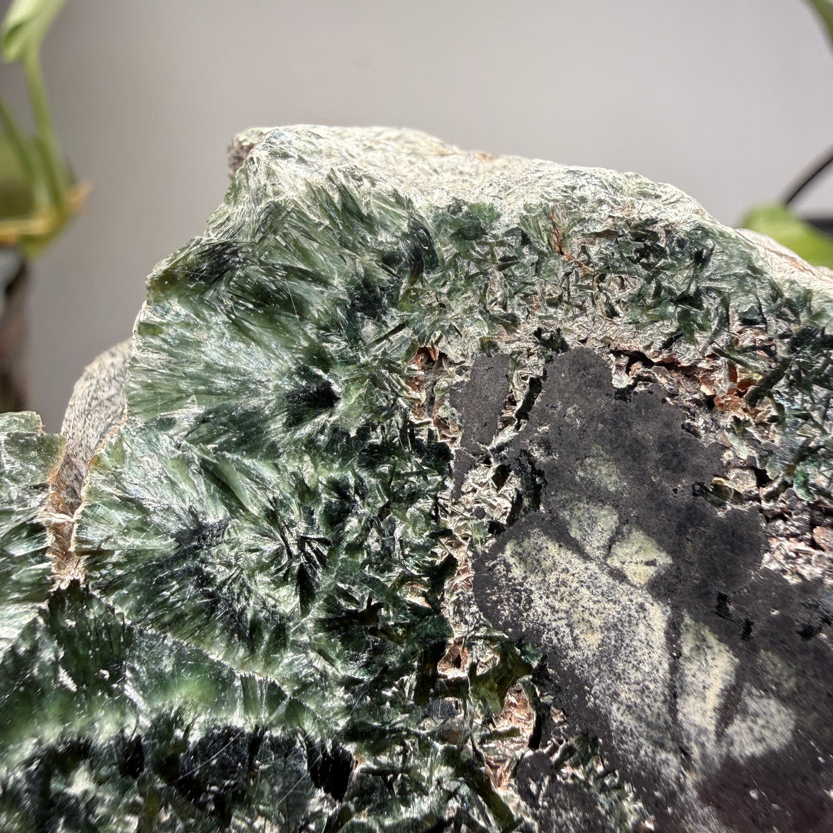 Seraphinite- Zheleznogorsk-Ilimsky, Irkutsk Oblast, Eastern Siberia, Russia