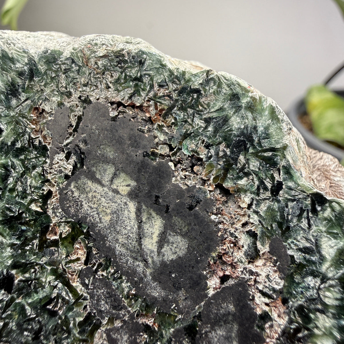 Seraphinite- Zheleznogorsk-Ilimsky, Irkutsk Oblast, Eastern Siberia, Russia