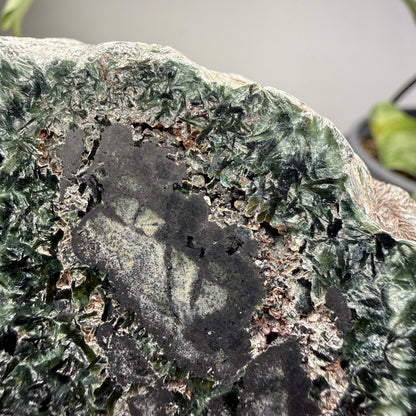 Seraphinite- Zheleznogorsk-Ilimsky, Irkutsk Oblast, Eastern Siberia, Russia