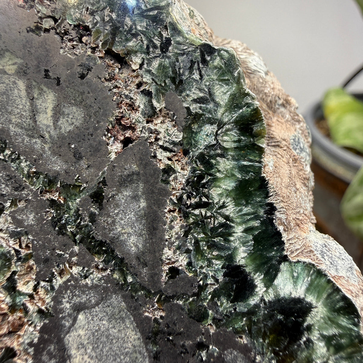 Seraphinite- Zheleznogorsk-Ilimsky, Irkutsk Oblast, Eastern Siberia, Russia