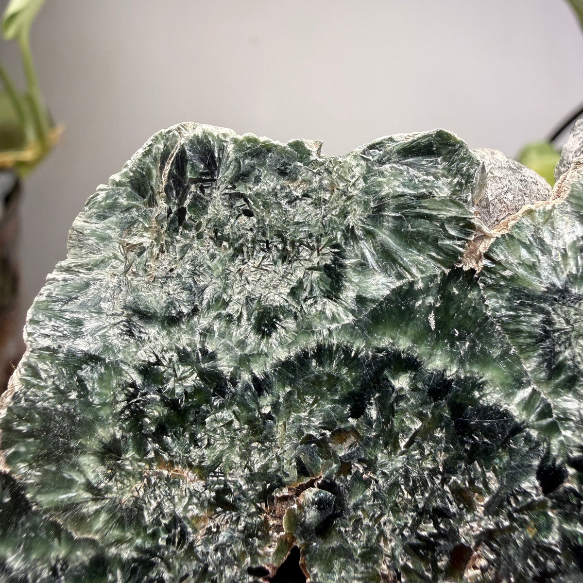 Seraphinite- Zheleznogorsk-Ilimsky, Irkutsk Oblast, Eastern Siberia, Russia