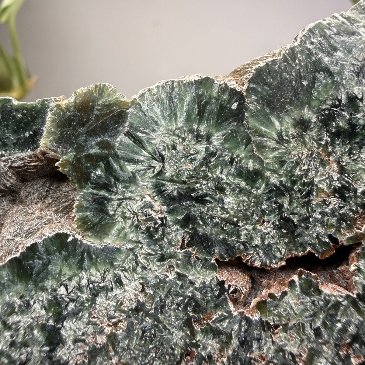 Seraphinite- Zheleznogorsk-Ilimsky, Irkutsk Oblast, Eastern Siberia, Russia